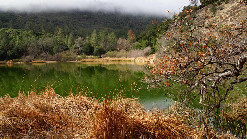 Zaca Lake Retreat Zaca Lake Retreat, Zaca Lake CA DSC00410… Flickr
