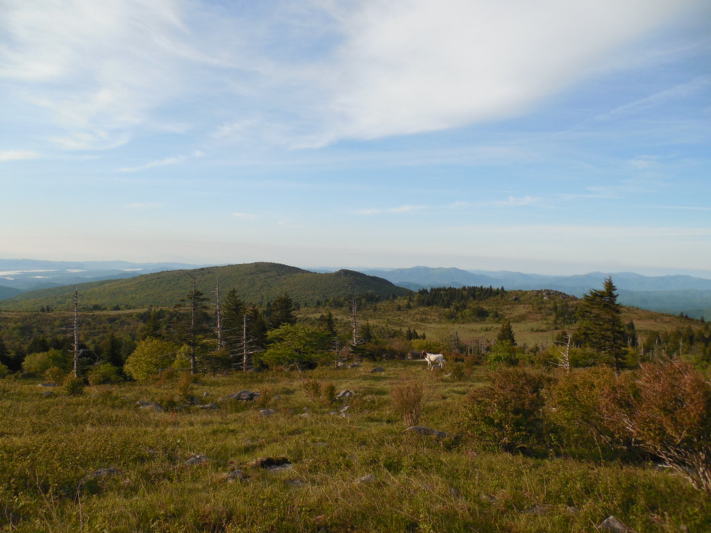The Virginia Highlands Along the Appalachian Trail within … Flickr