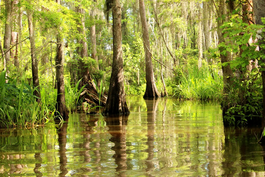 Honey Island Swamp New Orleans kosho1980 Flickr