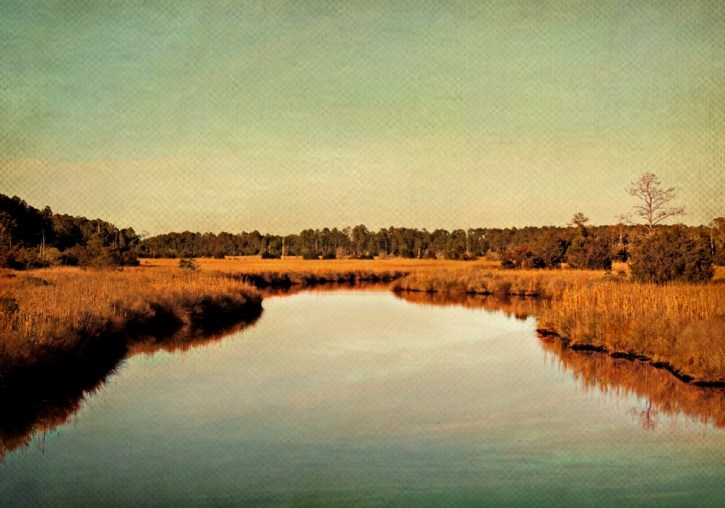 On the Road to Oriental Oriental Vicinity, Pamlico County, North