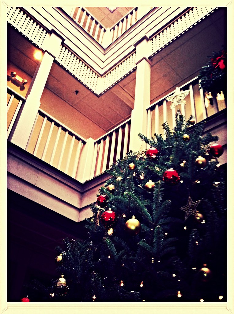 Christmas Tree Charleston Christmas Tree Randy Boatright Flickr