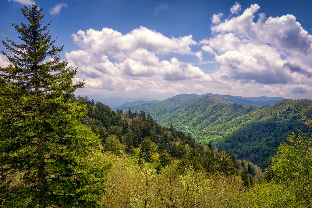 Newfound Gap Newfound Gap Road in the Great Smoky Mountain… Flickr