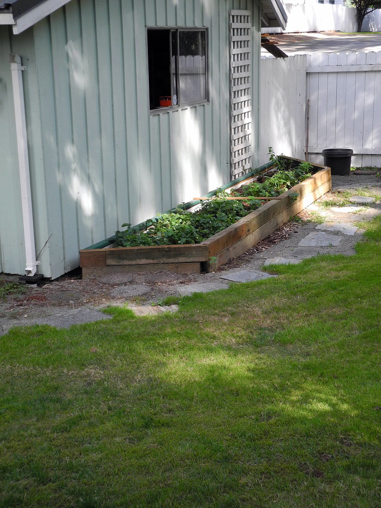 Raised bed behind garage Lakewood House B.D.'s world Flickr