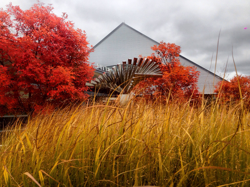 Ann Arbor Public Library (Pittsfield Branch) in all its au… Flickr