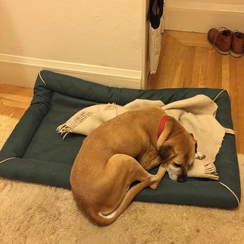 Apparently this bed is too small. Michael F. Weinberg Flickr