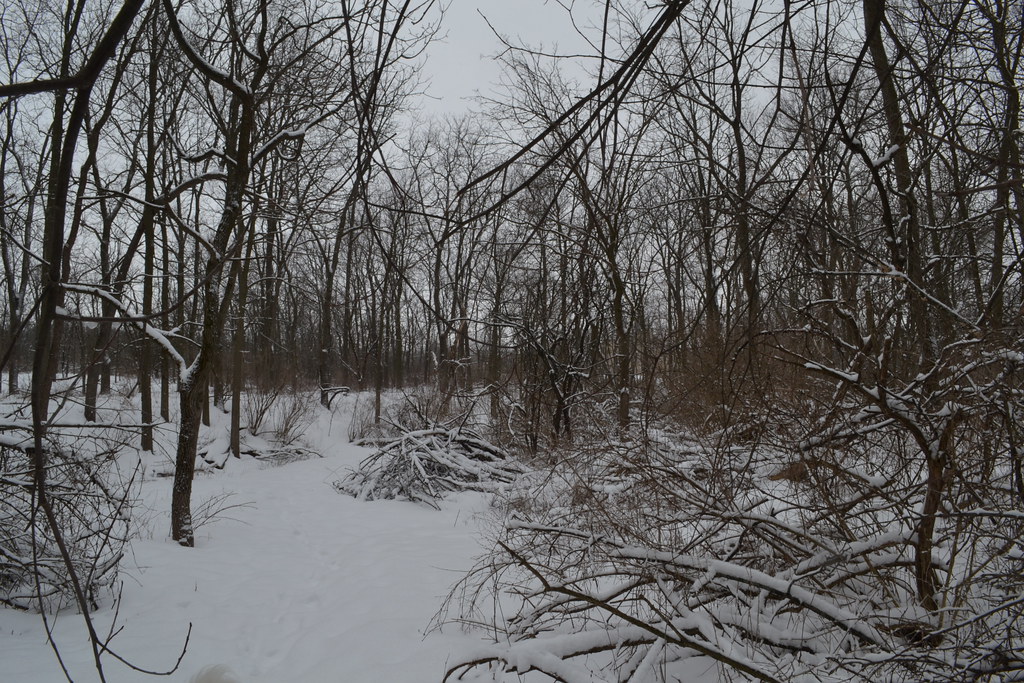 snowstorm Palmer Park Janesville, WI last good snowfall … Flickr