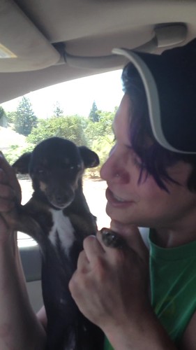 Jess Cromwell | Flickr