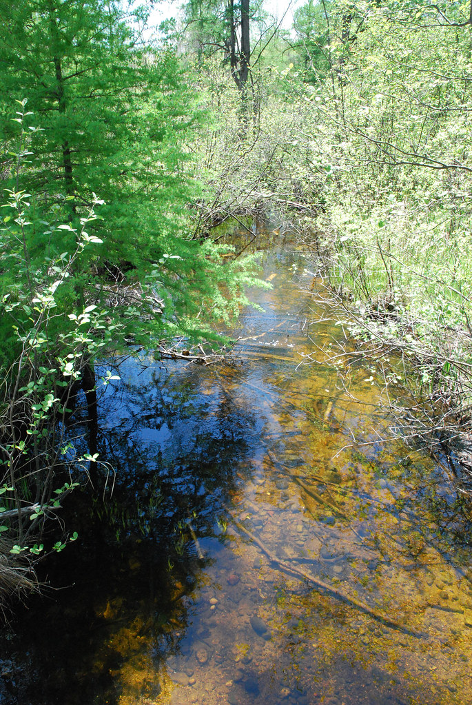 stream in Kettle Moraine State Park Leslie W Flickr