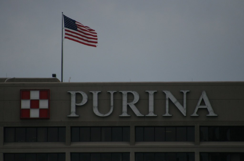 Purina Paul Sableman Flickr