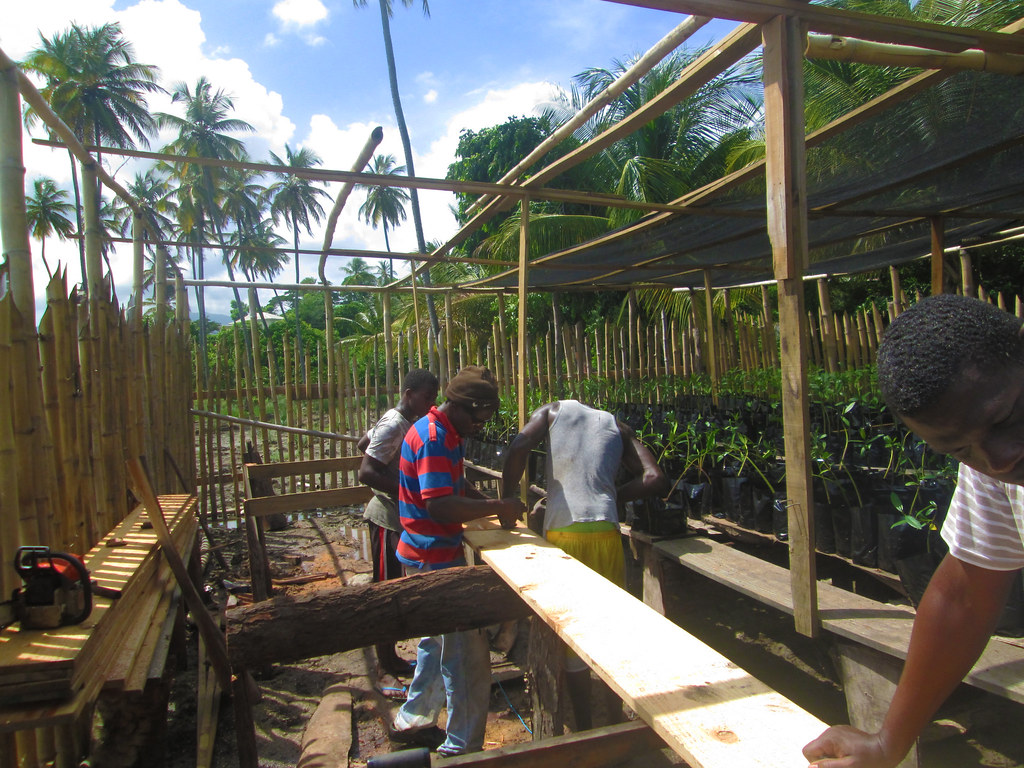 Telescope Volunteer Day (8) Grenada Fund for Conservation Flickr