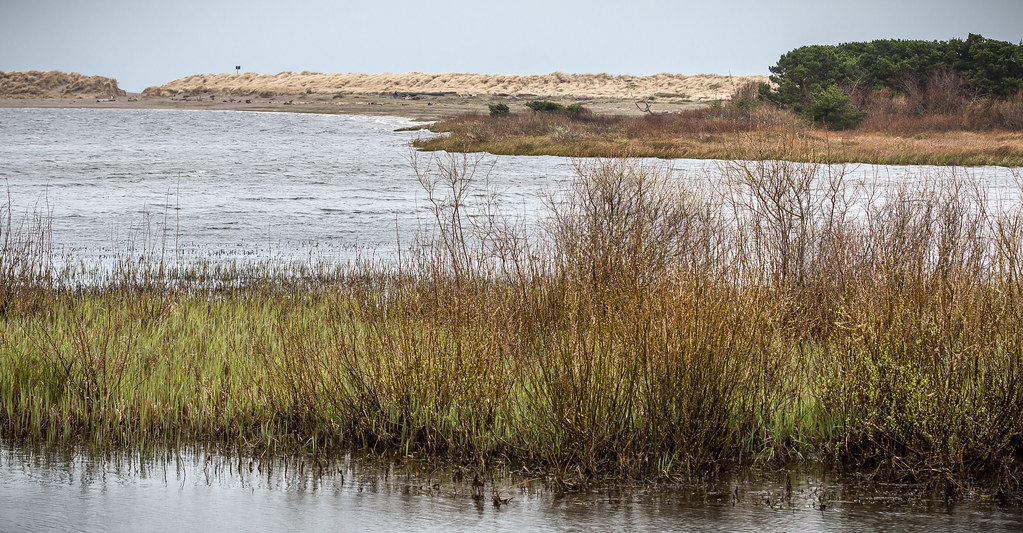 Floras Lake View to the west across the north end of Flora… Flickr