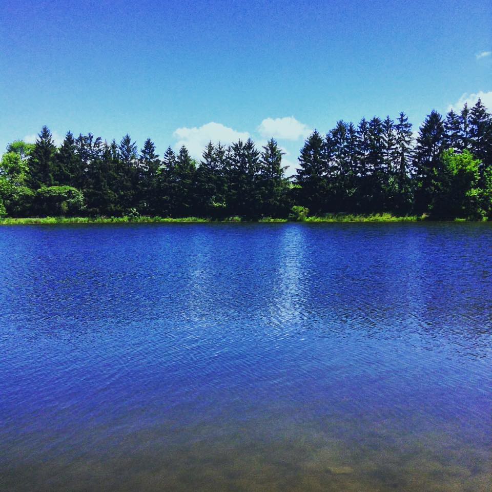 Ledge Lake Hinckley, Ohio Michelle Flickr