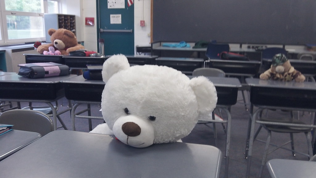 Stuffed Animal Day Mr. Hodgson Flickr