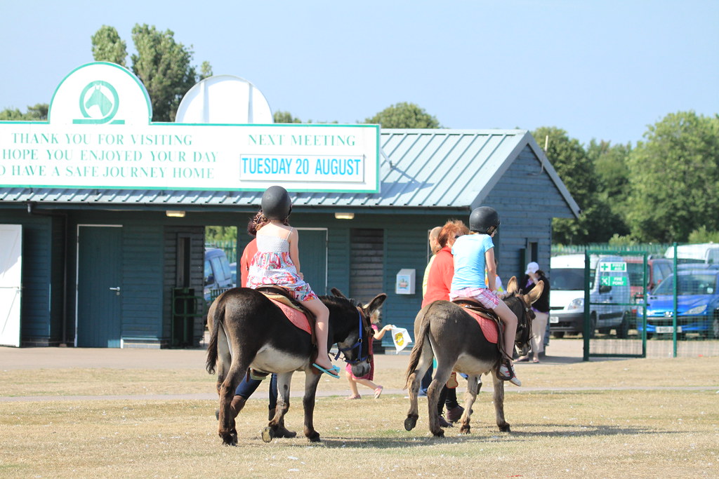 20 Aug 2013 Great Yarmouth Horse Races (43) A J Flickr