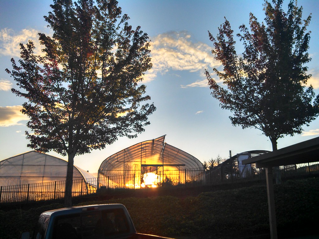 Greenhouse Sunset Chris Harsch Flickr