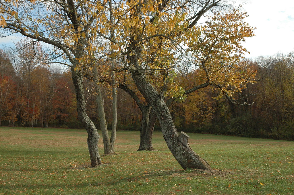 Silence of Heritage Park, Allentown, NJ 022 HeronThere Flickr