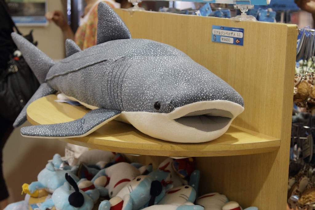The real shark Cute souvenirs from the aquarium gift shop seet
