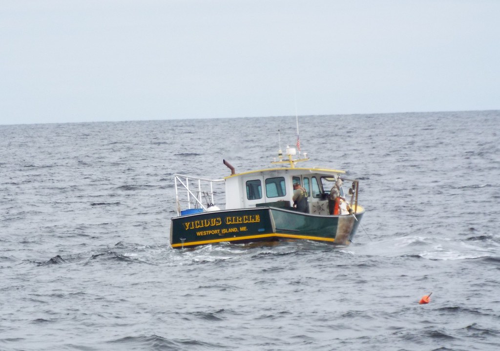 DSCF5434 cap'n fish's whale watch, boothbay harbor me Flickr