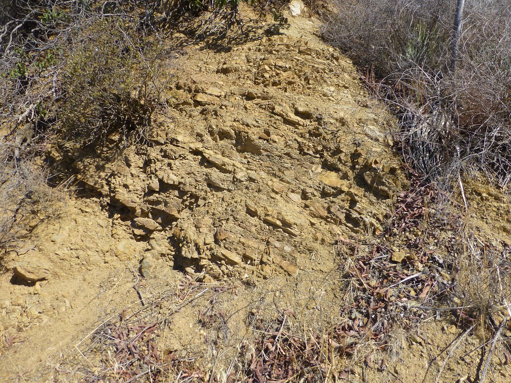 Bedford Canyon Formation ArgyleMJH Flickr