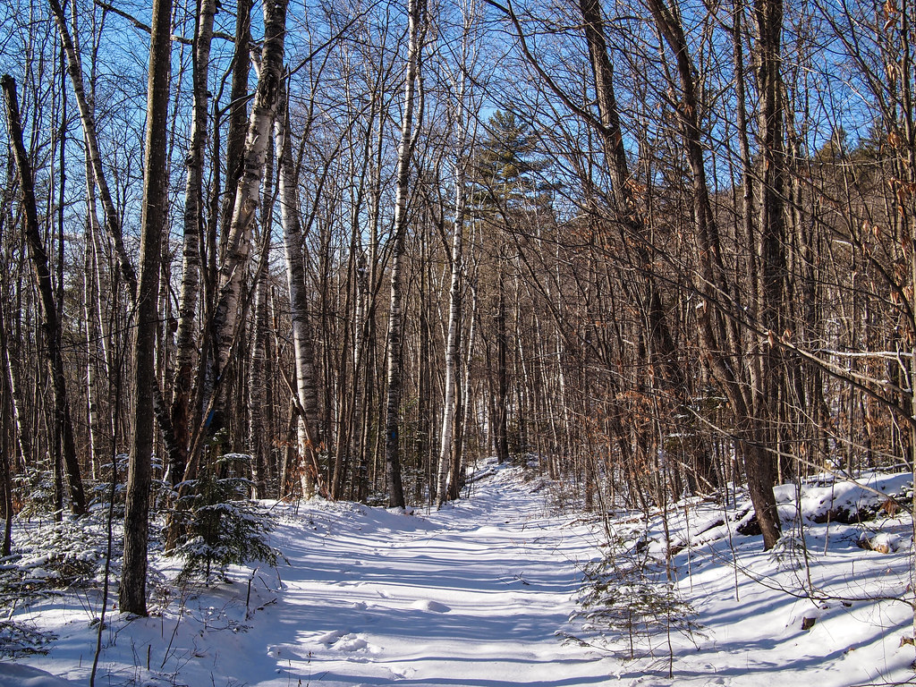 Hiking around Lyme NH AdamChandler86 Flickr