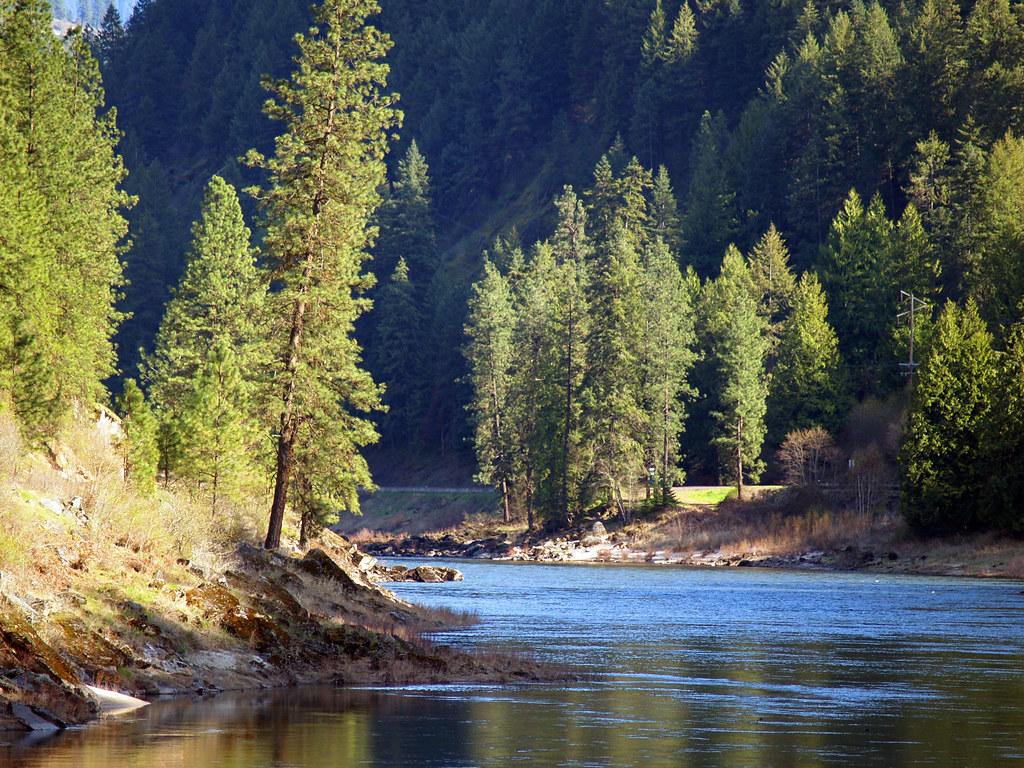 Clearwater River Clearwater River near Orofino by Michael … Idaho