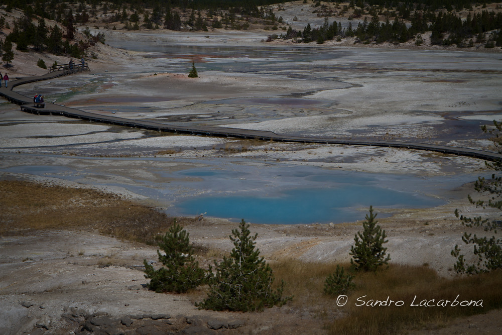 Geyser land yellowstone Sandro Lacarbona Flickr