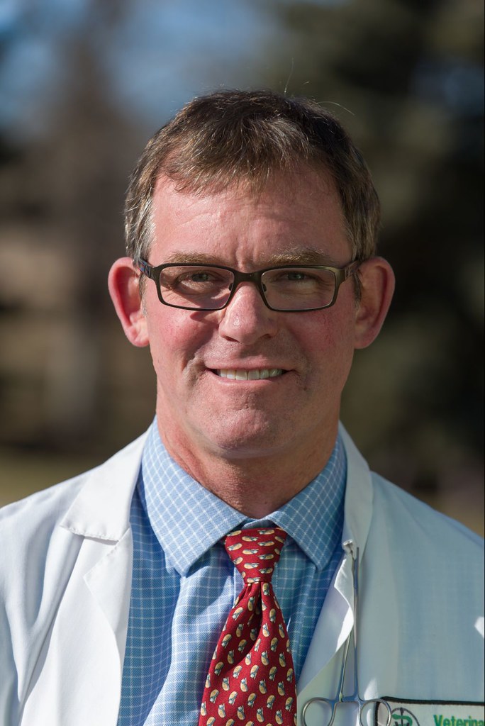 Dr. Tim Hackett, Director of the James L. Voss Veterinary … Flickr