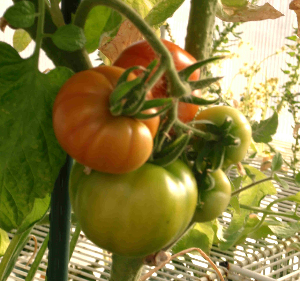 P2080001 john best Flickr