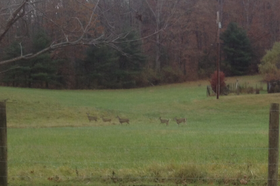 IMG_6840 Bath County VA Nov 2013 porchfan Flickr