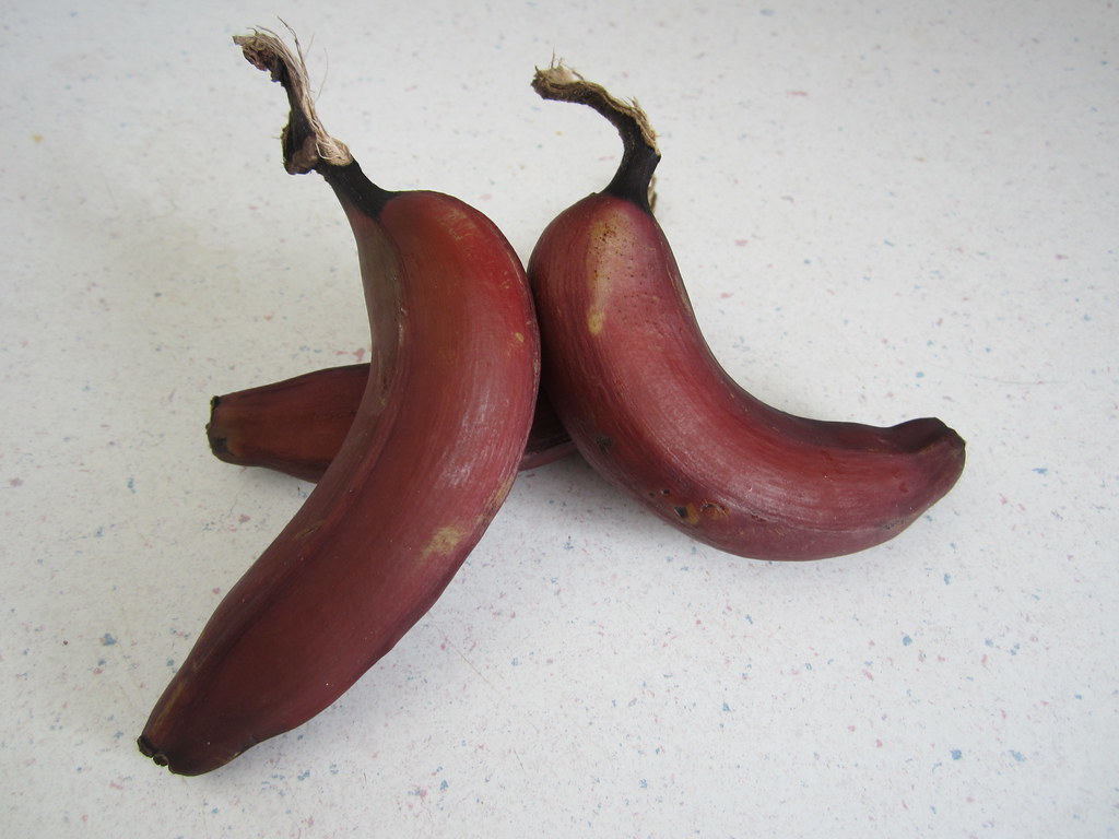 Red bananas Ann Flickr