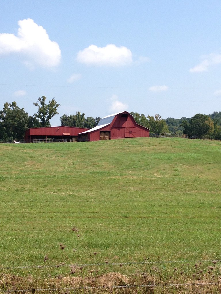 Near Elkmont, Bradley County, TN Nick Flickr