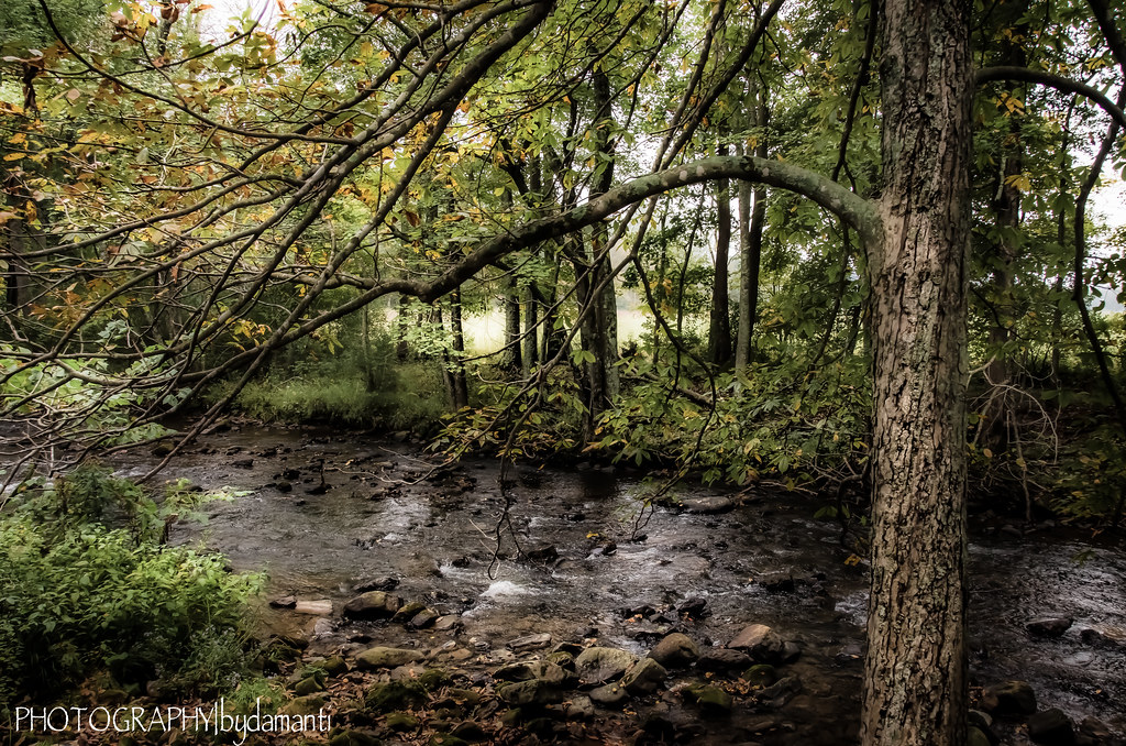 POTTS CREEK Paint Bank, VA ©All Rights Reserved No Use Wit… Flickr
