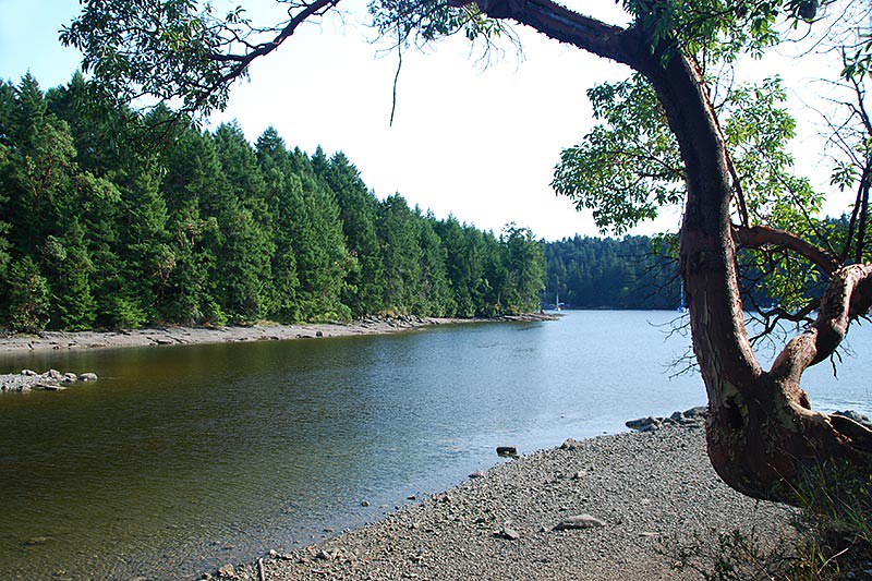 Thetis Island Vancouver Island News, Events, Travel, Adventure, Vacations
