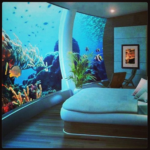 Underwater bedroom at Poseidon undersea Resort. My dream b… Flickr