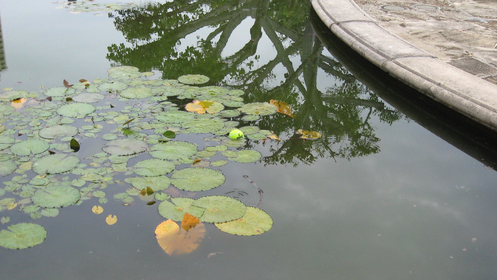 picnic on Oahu 101 driverdoug2002 Flickr