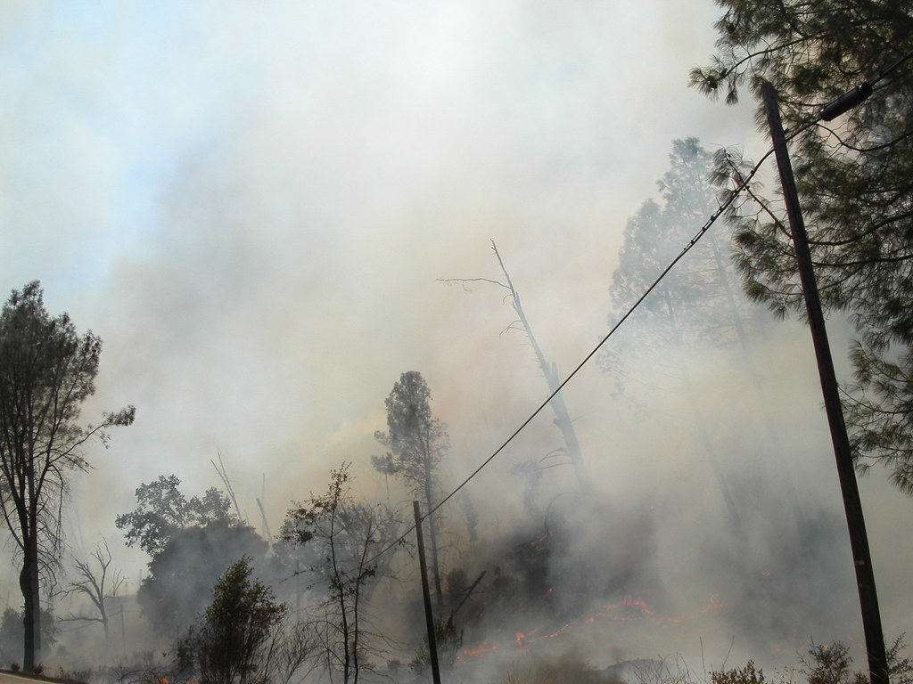 French Fire 2004 French Fire in French Gulch, CA 2004 Amanda