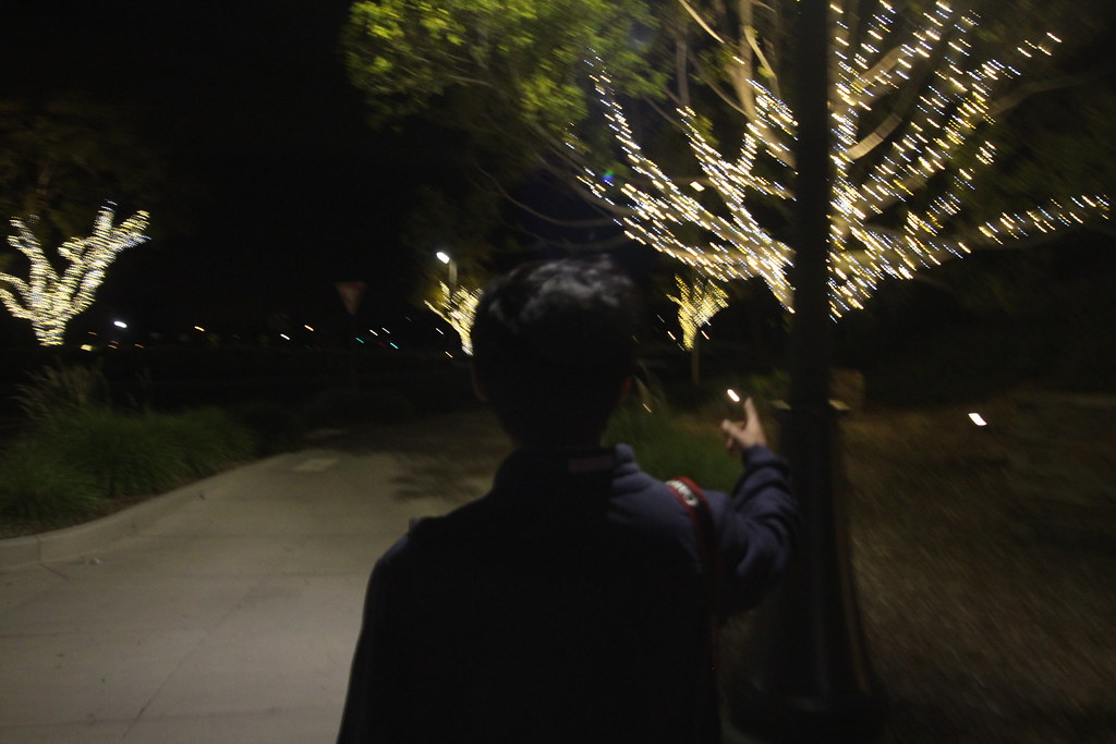 Portola Bridge Flickr