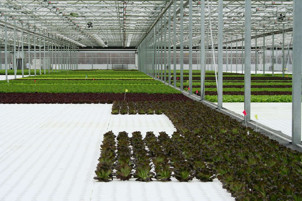 Green City Growers Tour 062 by AR (21) Green City Growers … Flickr