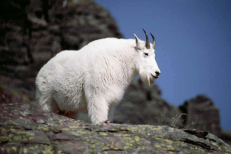 Jade City British Columbia Travel and Adventure Vacations