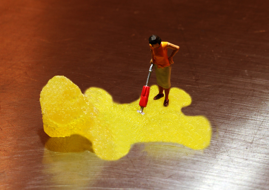 bearskin rug cleaning Lorraine Flickr