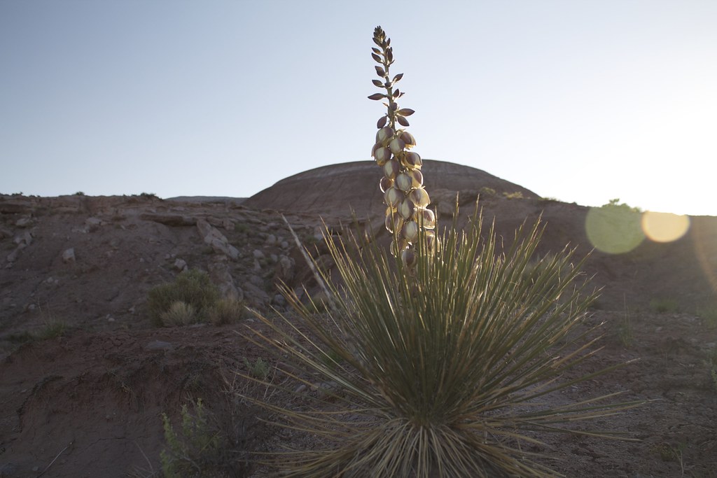 Beautiful valley, Nazlini Arizona. oskey391 Flickr