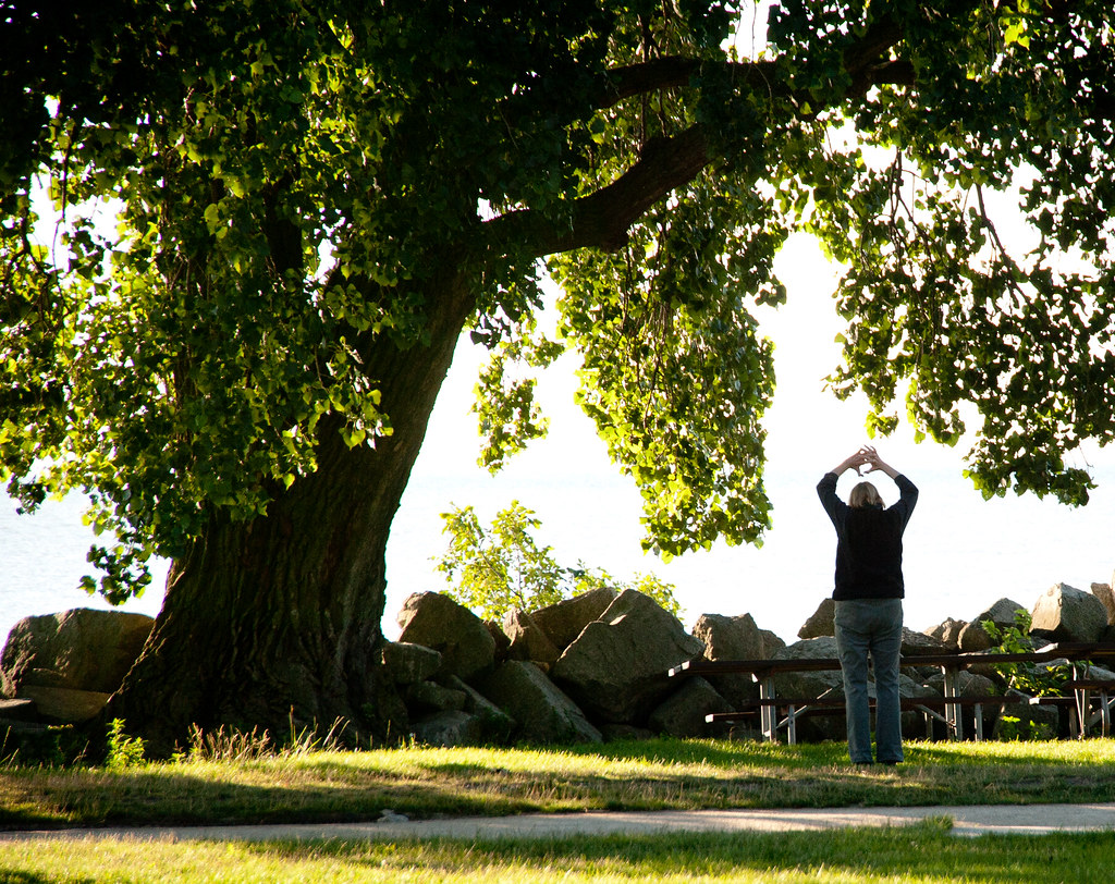 Zen under my tree Stephanie Maj Flickr