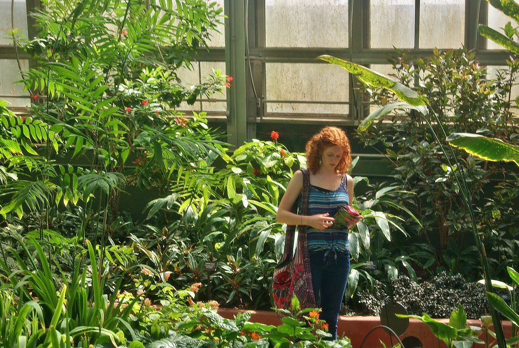 Garfield Conservatory Flowers Meggiemae67 Flickr