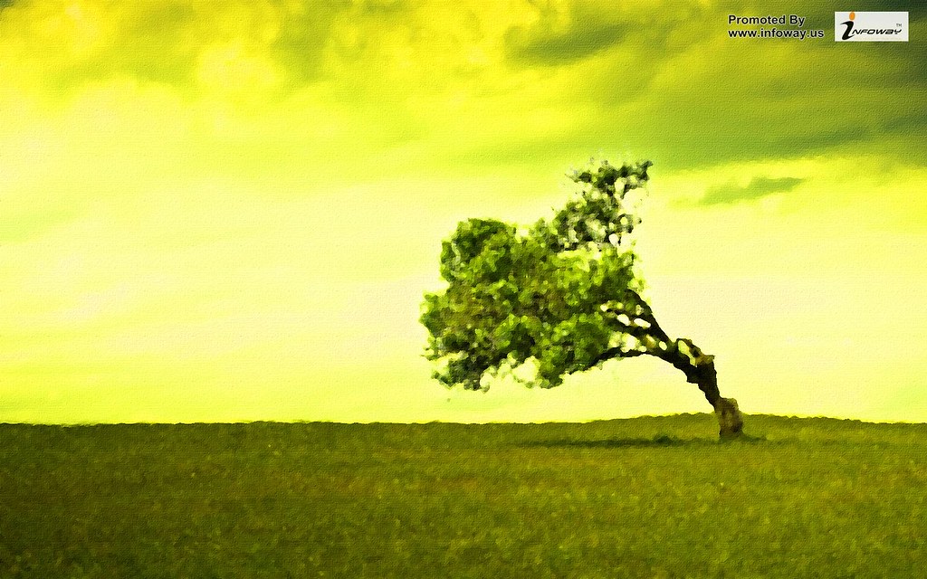 The Best Single Tree Wallpaper 2023