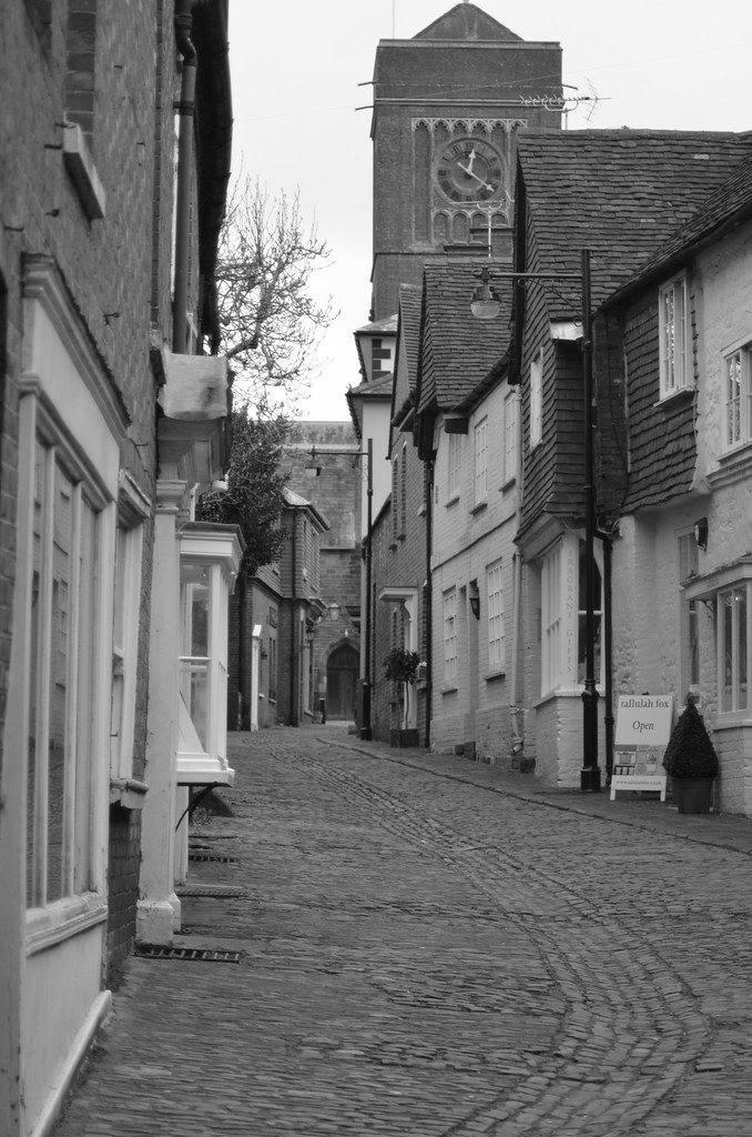 PETWORTH ferret23 Flickr