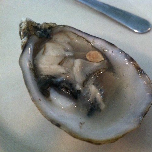 Skookum Oysters Anchor Oyster Bar kvpinmybelly Fresh … Flickr