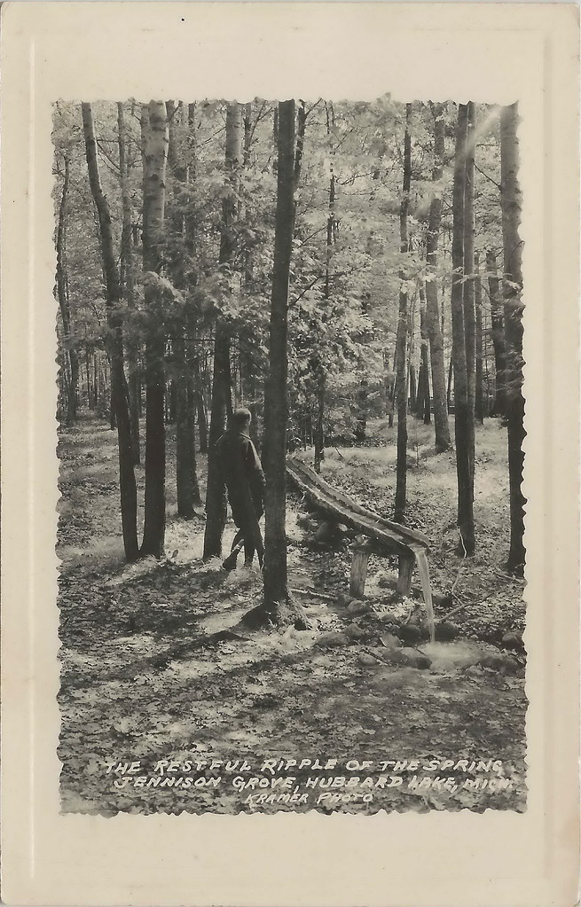 NE Hubbard Lake Alpena MI RPPC 1930s RARE View Beautiful N… Flickr