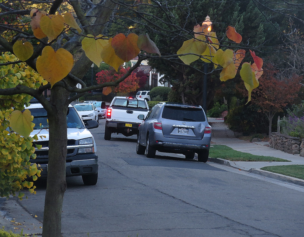 Autumn Trestle Glen Road Piedmont, Ca Nov 2013 Eric Flickr