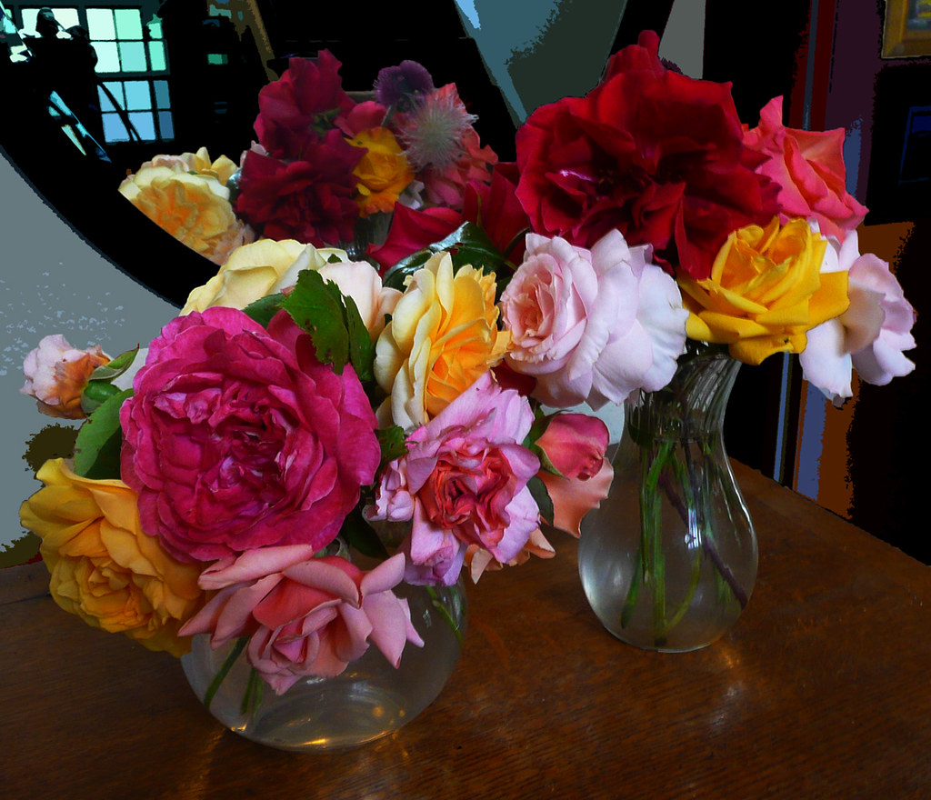 Flowers in the House 34 Roses from my garden at the beginn… Flickr