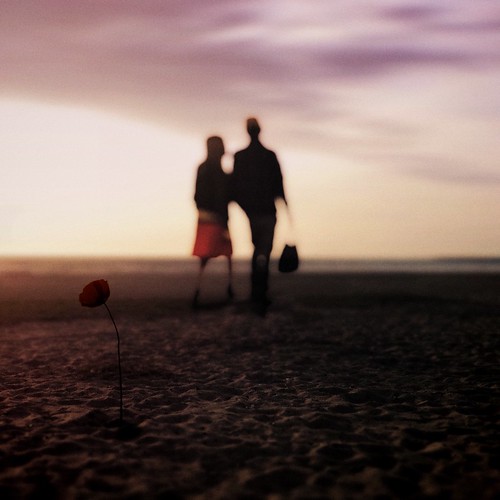 When A Love Is In Bloom... when a love is in bloom, river … Flickr